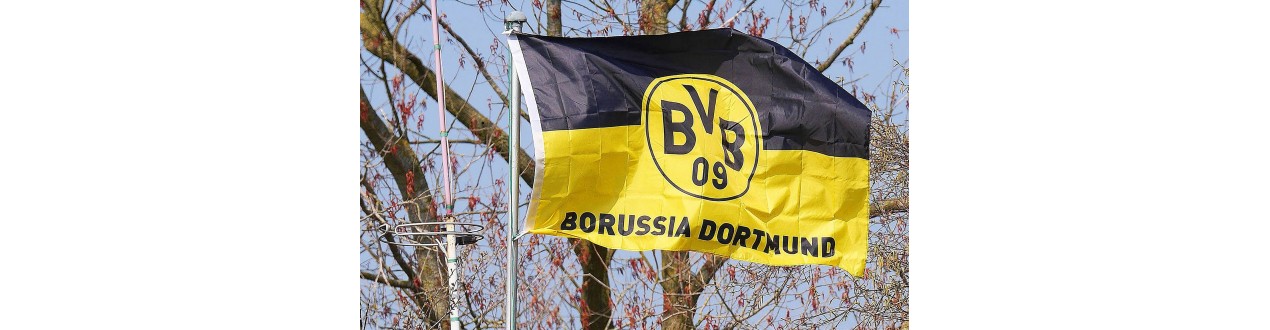 BVB Dortmund